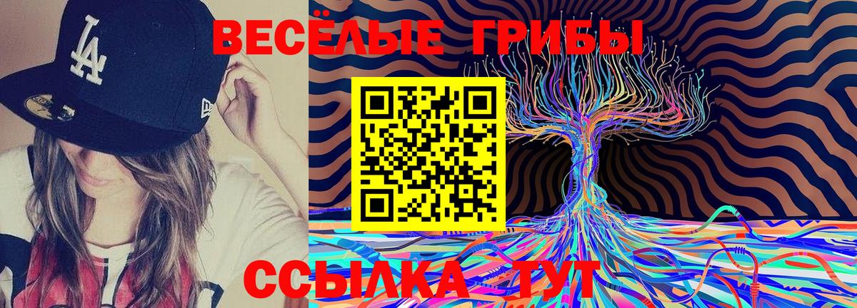 Галлюциногенные грибы GOLDEN TEACHER  Вход с VPN  Тавда 