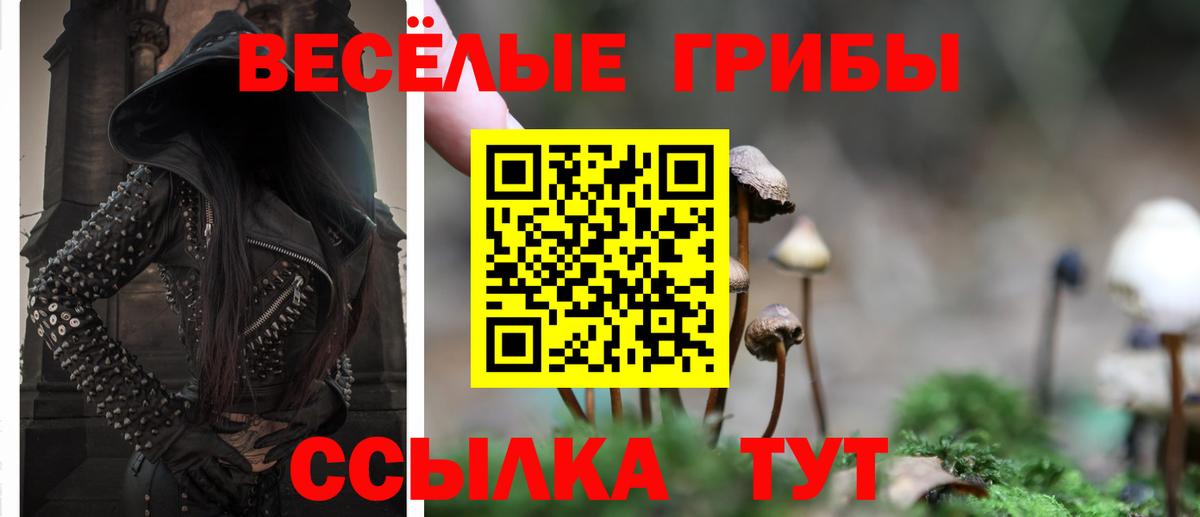 Псилоцибиновые грибы MAGIC MUSHROOMS Тавда